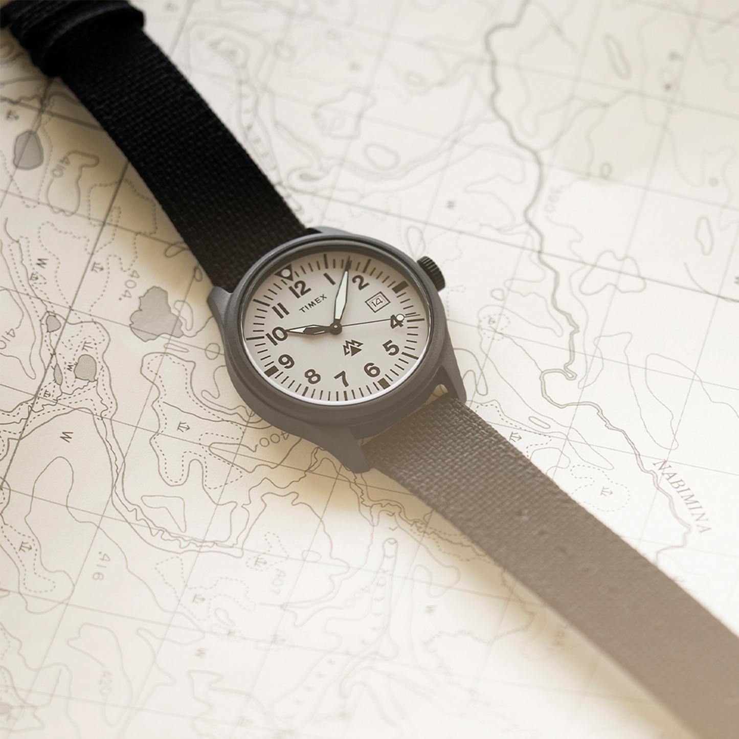 TIMEX Expedition North TW2W34700QY - 43mm - Siva