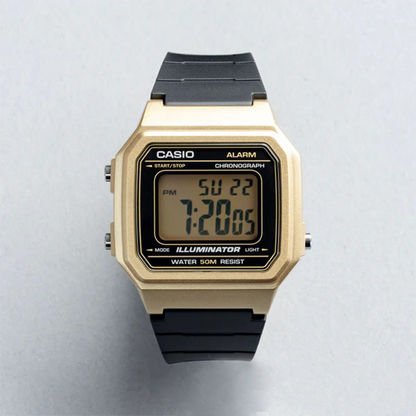 Casio W-217HM-9A