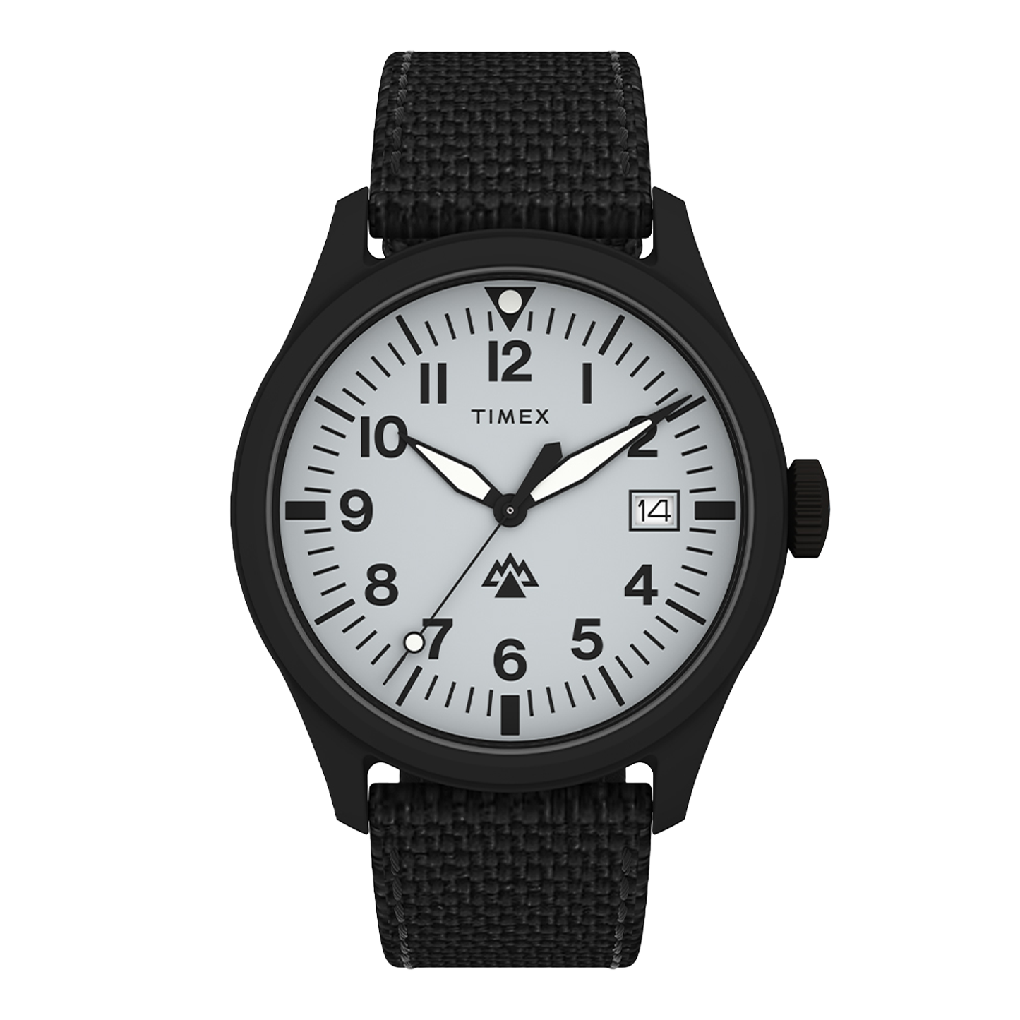TIMEX Expedition North TW2W34700QY - 43mm - Siva