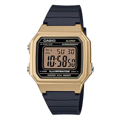 Casio W-217HM-9A