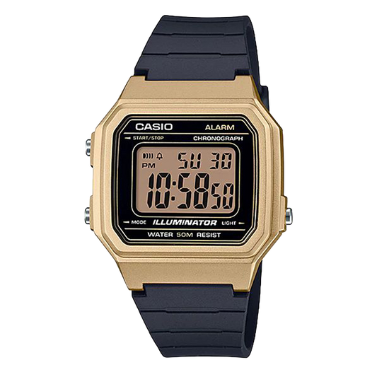 Casio W-217HM-9A