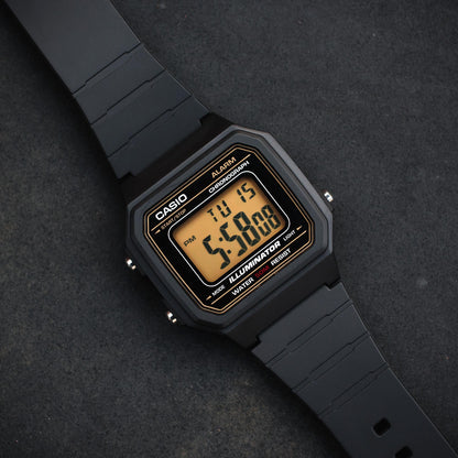 Casio W-217H-9A